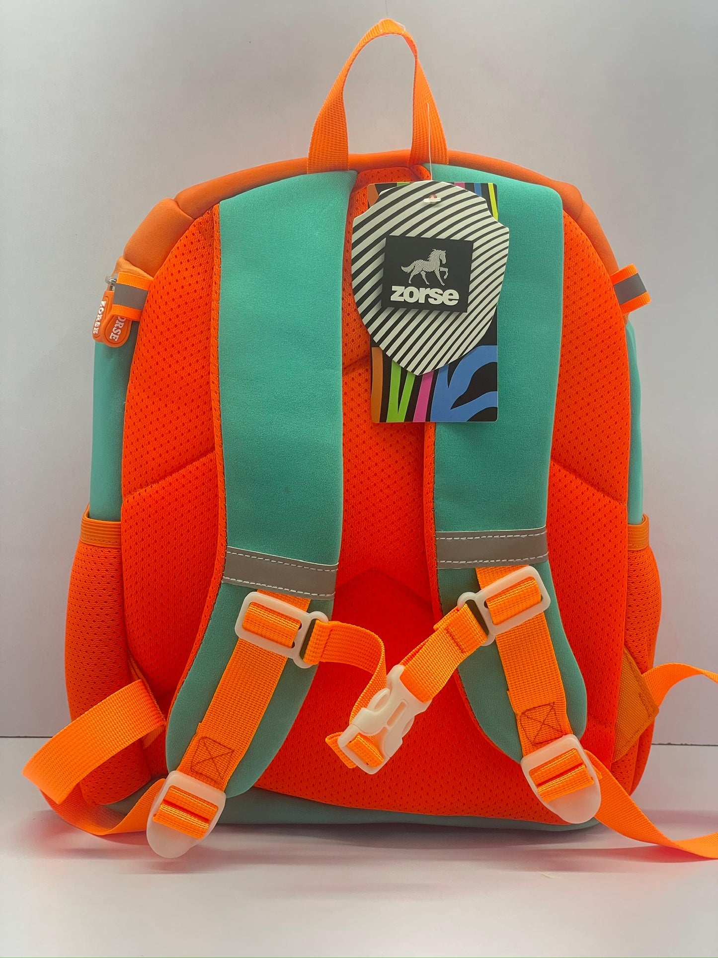 ZORSE Dino Roar school backpack with beautiful range of colours. - Kidspark