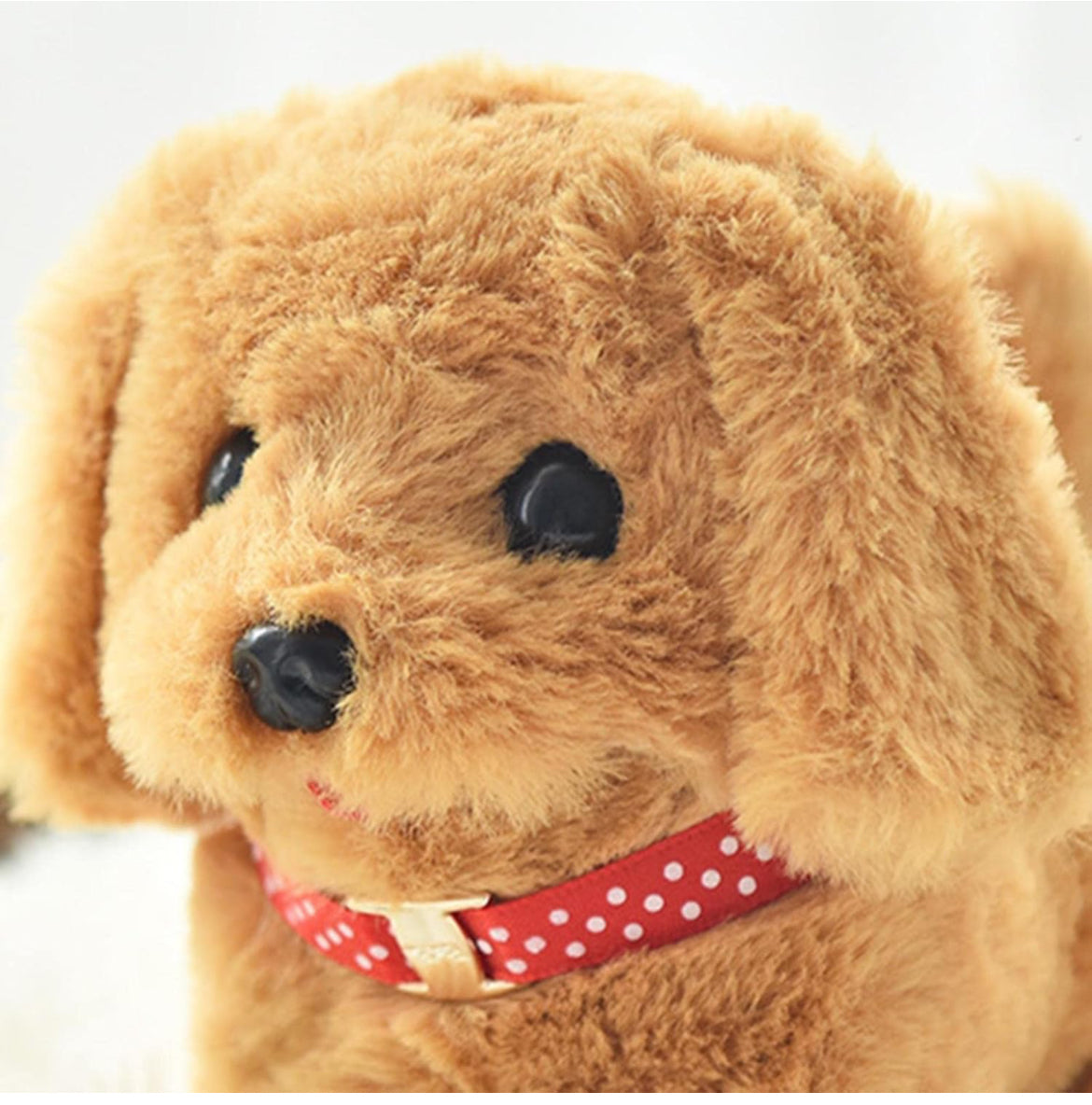 Baby kiddo pets, walking talking dog
