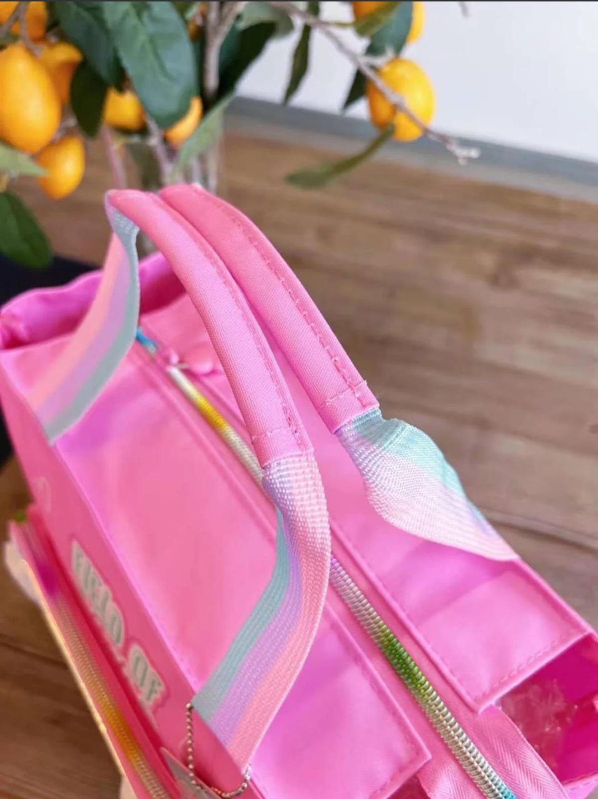 Vest- multipurpose totebag for lunch/tuition/daytrips