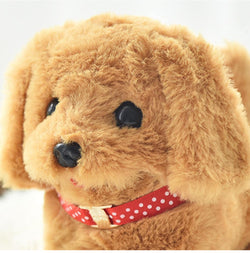 Baby kiddo pets, walking talking dog - Kidspark