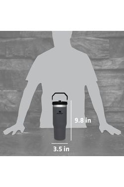 Stanley The Iceflow Flip Straw Tumbler | 30 OZ - Kidspark
