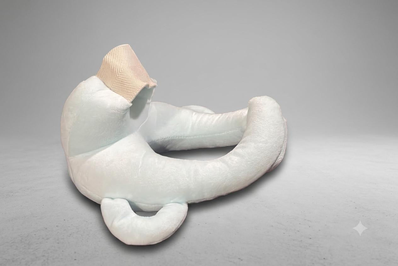 Kidspark Baby bottle holder Baby feeding pillow | Nursing | bottle holder | Anti-spitting milk pillow | Relieves sore hands