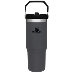 Stanley The Iceflow Flip Straw Tumbler | 30 OZ - Kidspark
