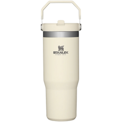 Stanley The Iceflow Flip Straw Tumbler | 30 OZ - Kidspark