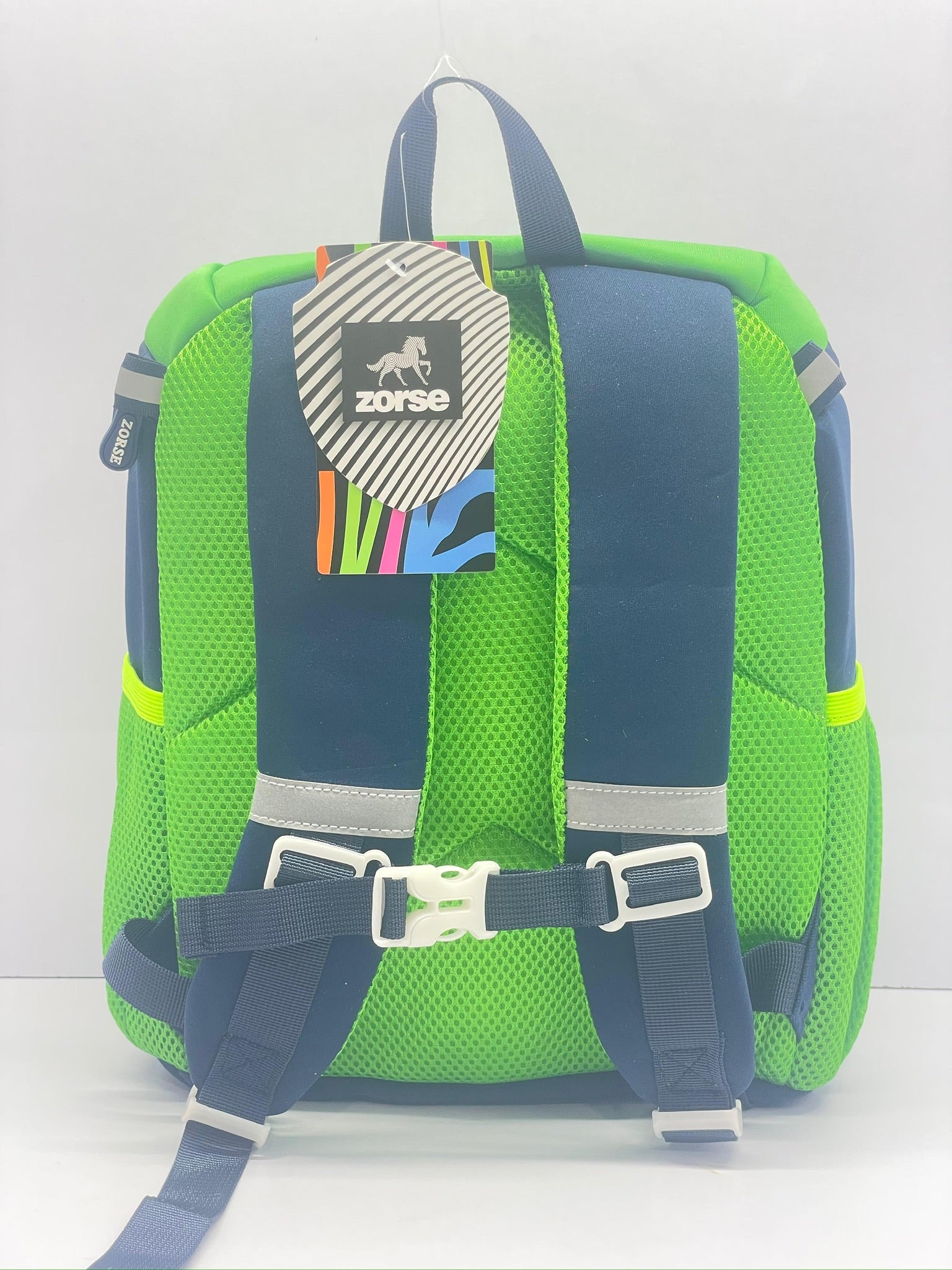ZORSE Dino Roar school backpack with beautiful range of colours.