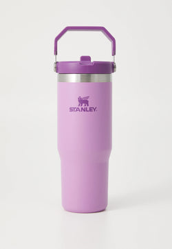Stanley The Iceflow Flip Straw Tumbler | 30 OZ - Kidspark