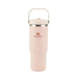 Stanley The Iceflow Flip Straw Tumbler | 30 OZ - Kidspark